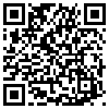 QR Code Handyversion