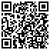 QR Code Handyversion