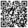 QR Code Handyversion