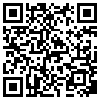 QR Code Handyversion