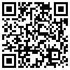 QR Code Handyversion