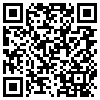 QR Code Handyversion