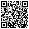 QR Code Handyversion