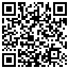 QR Code Handyversion