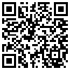 QR Code Handyversion