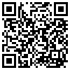 QR Code Handyversion