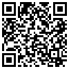 QR Code Handyversion