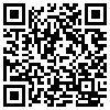 QR Code Handyversion