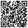 QR Code Handyversion