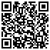 QR Code Handyversion