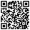 QR Code Handyversion