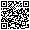 QR Code Handyversion