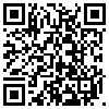 QR Code Handyversion