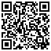 QR Code Handyversion