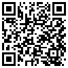 QR Code Handyversion