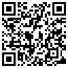 QR Code Handyversion