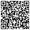 QR Code Handyversion