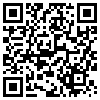 QR Code Handyversion