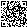 QR Code Handyversion