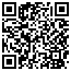 QR Code Handyversion