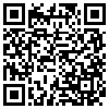 QR Code Handyversion