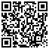 QR Code Handyversion