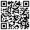 QR Code Handyversion