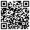 QR Code Handyversion