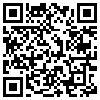 QR Code Handyversion