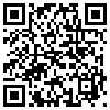 QR Code Handyversion