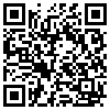 QR Code Handyversion