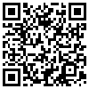 QR Code Handyversion