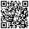 QR Code Handyversion