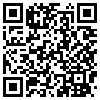 QR Code Handyversion