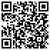 QR Code Handyversion