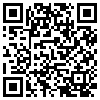 QR Code Handyversion