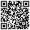 QR Code Handyversion