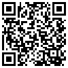 QR Code Handyversion