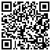 QR Code Handyversion