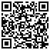 QR Code Handyversion