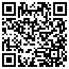 QR Code Handyversion