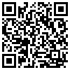 QR Code Handyversion