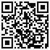 QR Code Handyversion