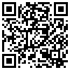 QR Code Handyversion