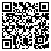 QR Code Handyversion