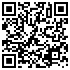 QR Code Handyversion