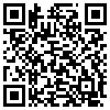 QR Code Handyversion