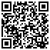 QR Code Handyversion