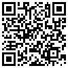 QR Code Handyversion