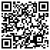 QR Code Handyversion